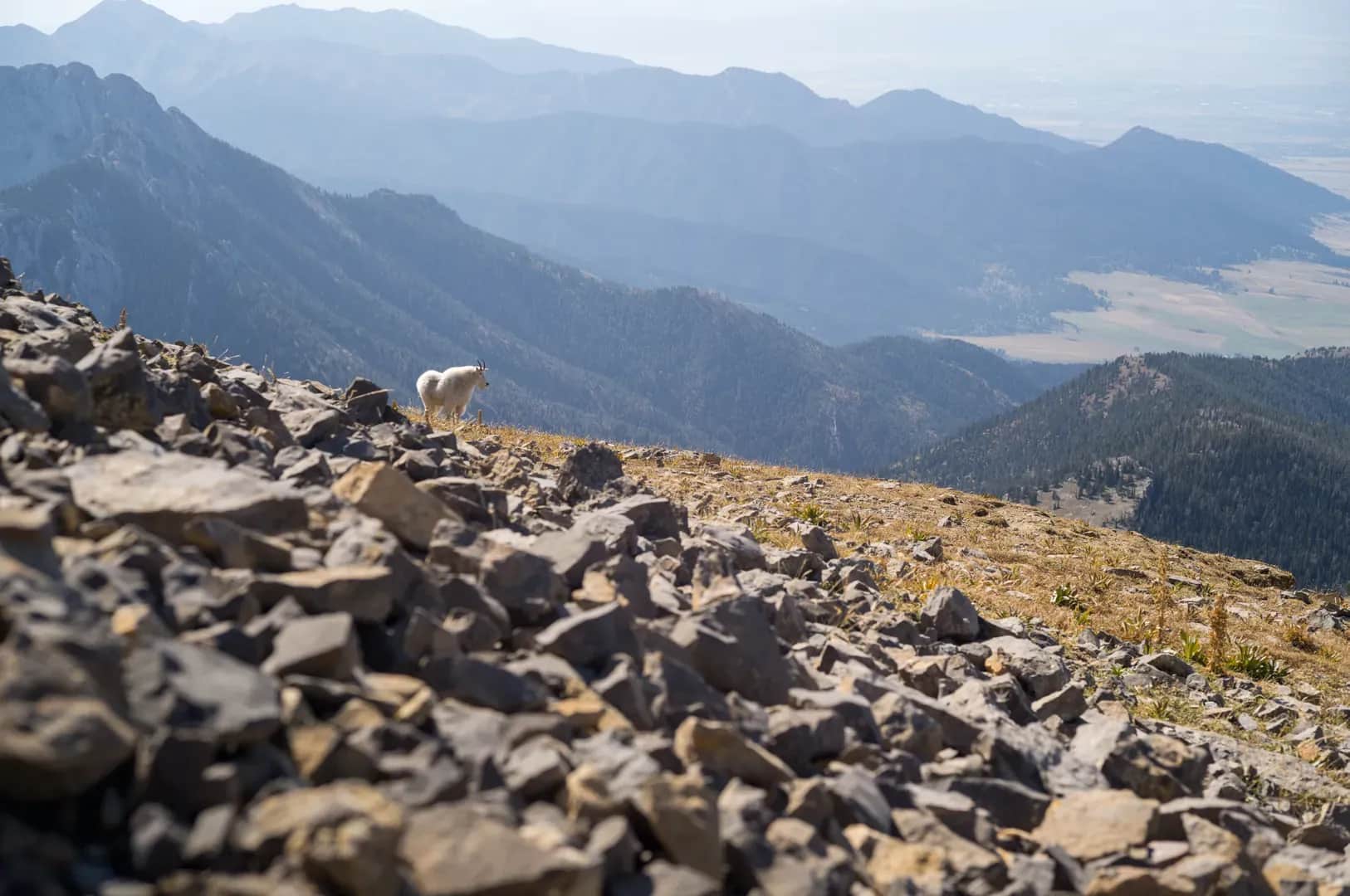 On Being A Documentary Photographer