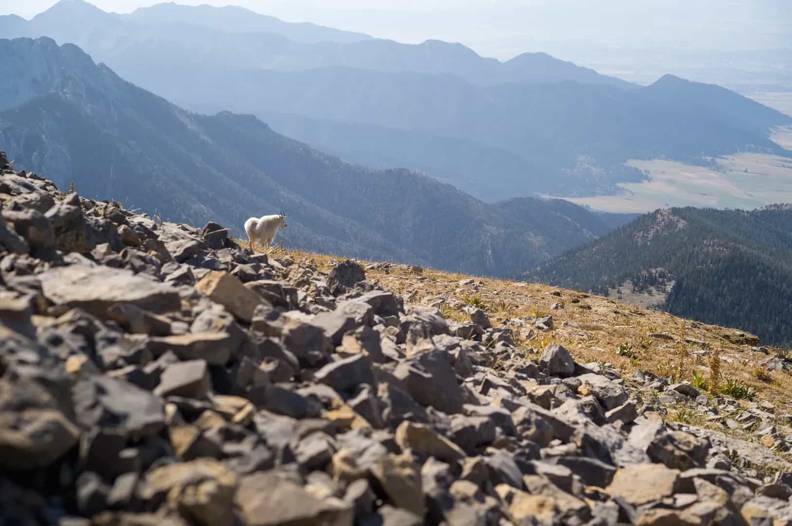 On Being A Documentary Photographer