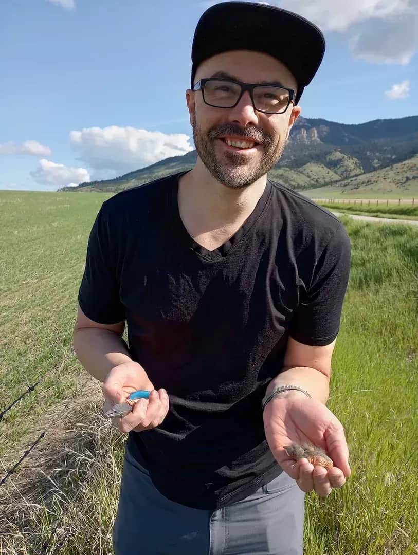 Volunteering with the Sacajawea Audubon Society to count and band Mountain Blue Birds. Lou Ann Harris©